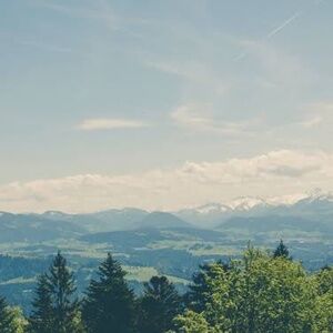 Meet your Posher, Yasmin